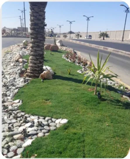 صيانة الحدائق والأشجار (صيانة وتأهيل المزروعات والرصف)